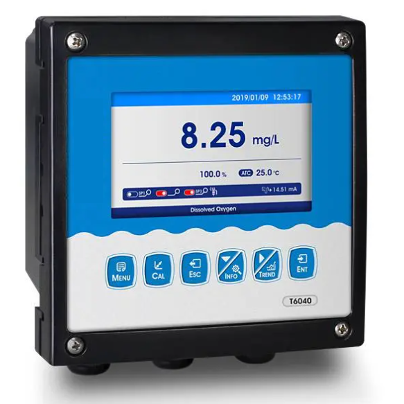 Ion Online Meter T6055